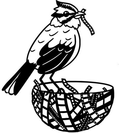pantallapopular.com